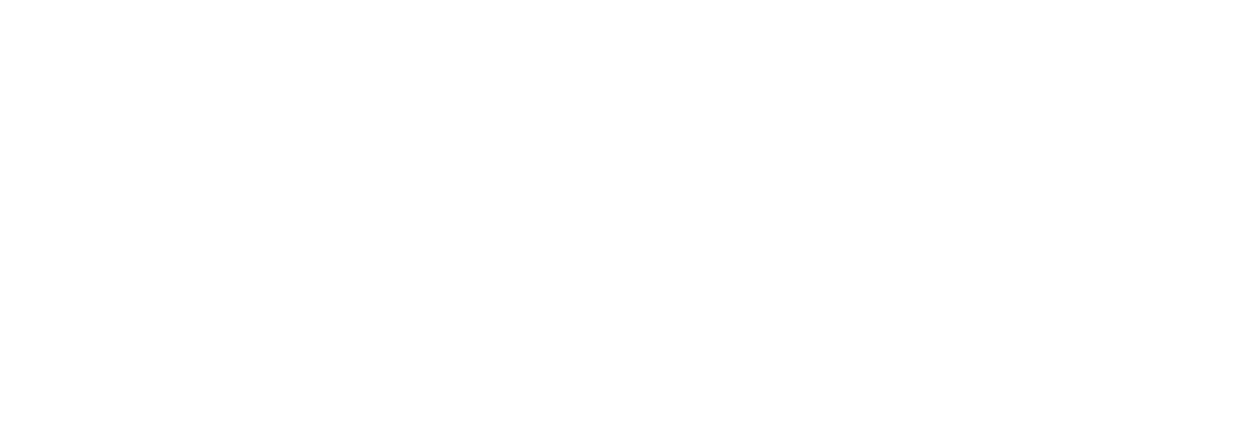 IA de Primeira